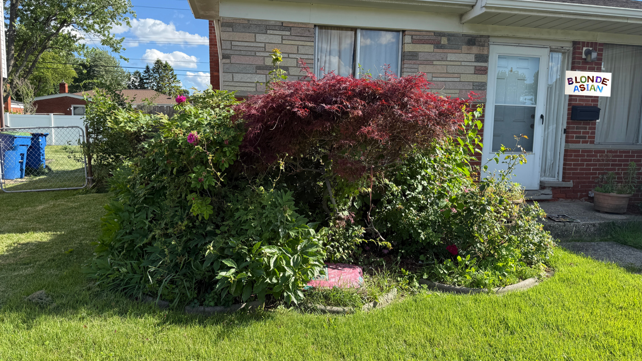Meeting My Mom’s Garden